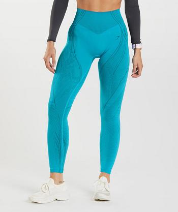 Gymshark Apex Seamless Ženske Tajice Tamno Sive Plave Plave | HR 4086JPQ